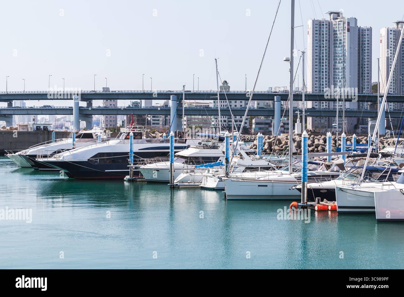 Ein lebendiger Yachthafen mit einer Reihe von Yachten vor dem Hintergrund der urbanen Architektur. Busan, Südkorea Stockfoto