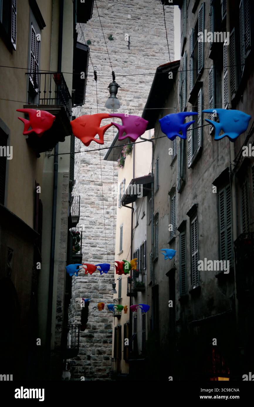Graue Gebäude mit bunten Fischen Stockfoto