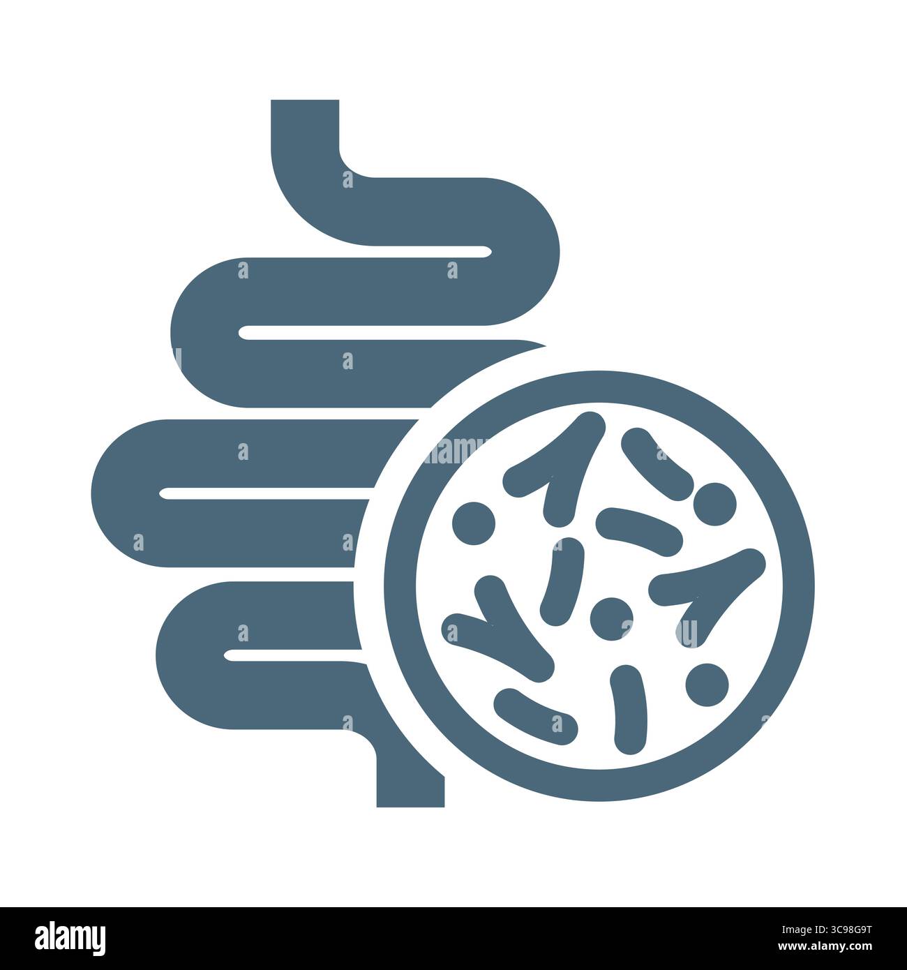 Darm mit Mikrobiota-Vektor-Symbol. Därme oder Darm und Darm mit Bakterien oder Mikroflora. Stock Vektor