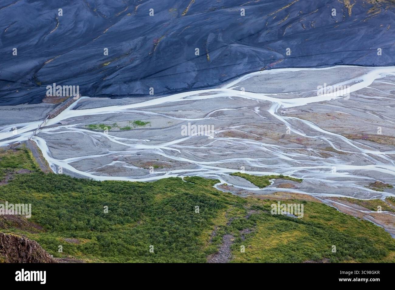 Luftaufnahme des Moränengletscherflusses in Südisland. Mäanderndes Flussnetz zwischen hellgrünem Wald und toter schwarzer Vulkanwüste. Stockfoto