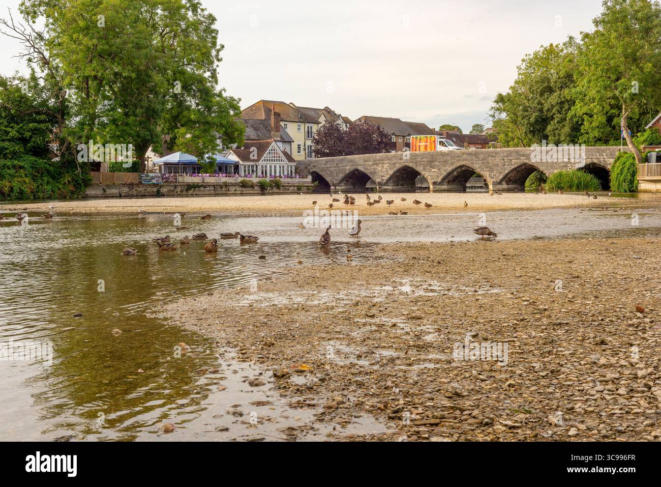 Niedriger Flussspiegel, Hampshire Avon, Fordingbridge, August, Sommer 2025 Stockfoto