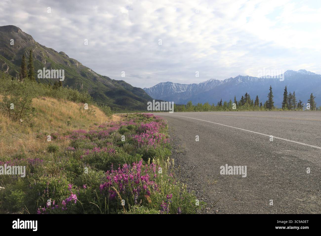 Auf der Straße nach Thechàl Dhâl Stockfoto