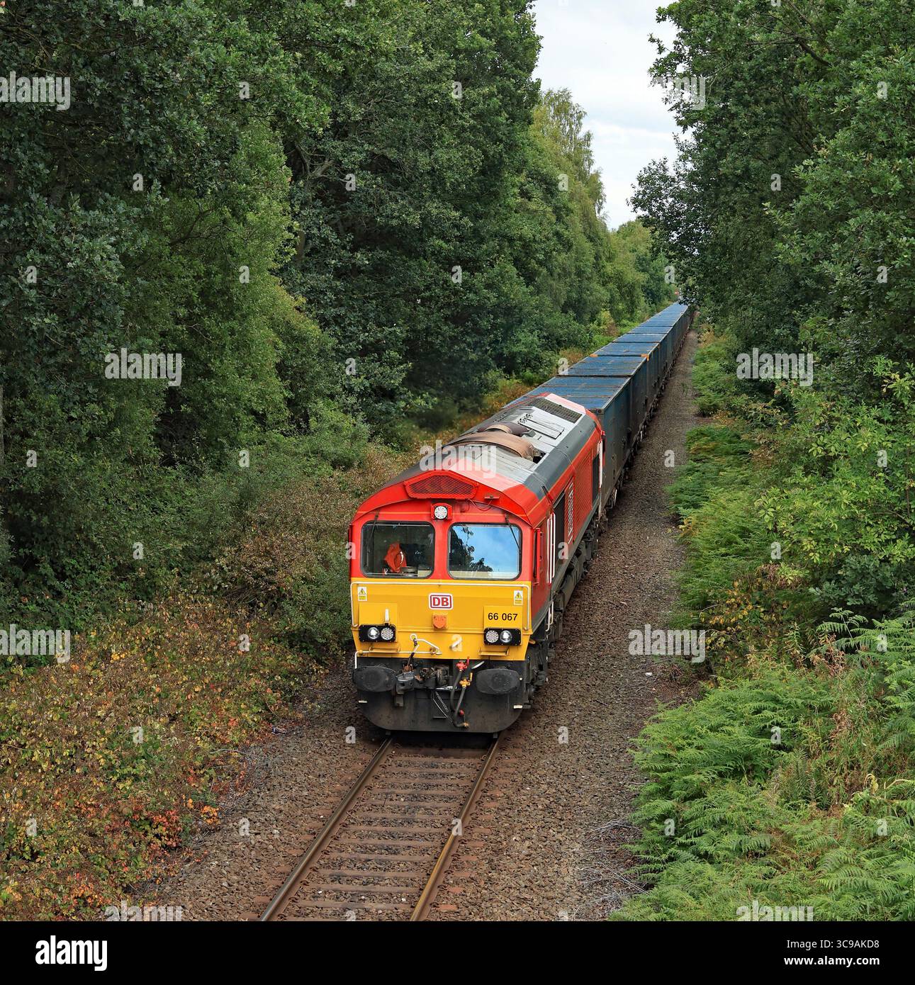 Eine Lokomotive der DB Cargo, Nr. 66067, hat gerade den Abzweigbahnhof Rainford verlassen, als sie sich westlich des Bahnhofs Rainford der Birches Besatzungsbrücke nähert Stockfoto
