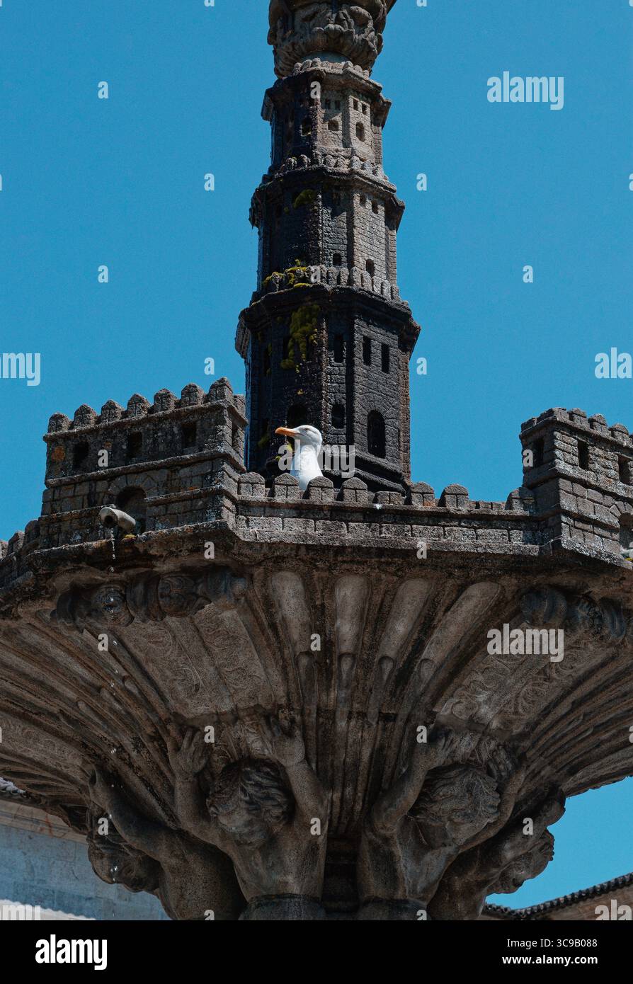 Barocker Brunnen „Chafariz do Castelo“ mit einer neugierigen Möwe unter einem blauen Himmel Stockfoto