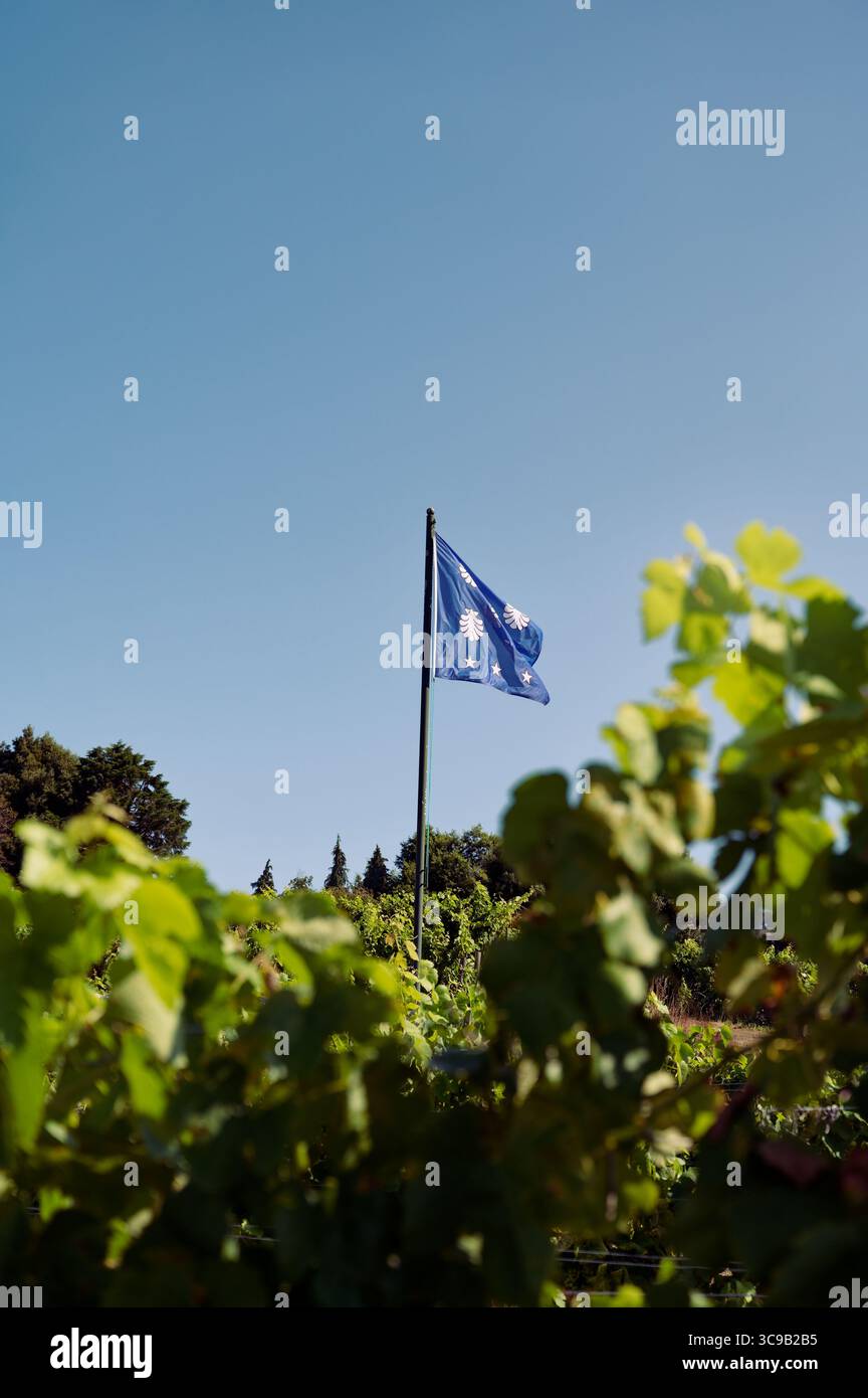 Die Wappenfahne von Calheiros fliegt über den Weinbergen des Pac de Calheiros in Ponte de Lima Stockfoto