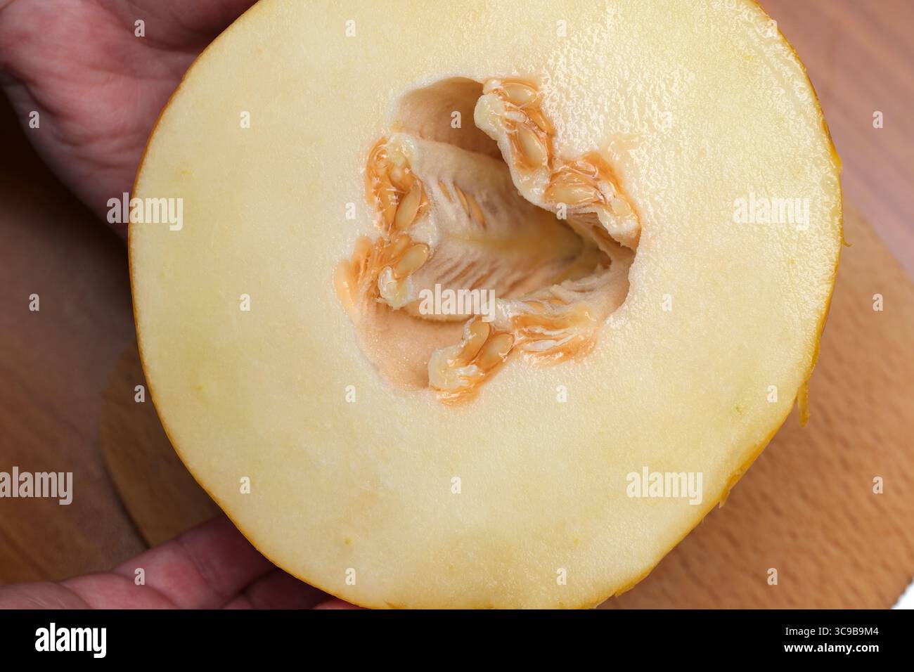 Die Hände halten eine frisch geschnittene Melone und zeigen ihr weiches Fleisch und ihre Samen im Inneren. Stockfoto