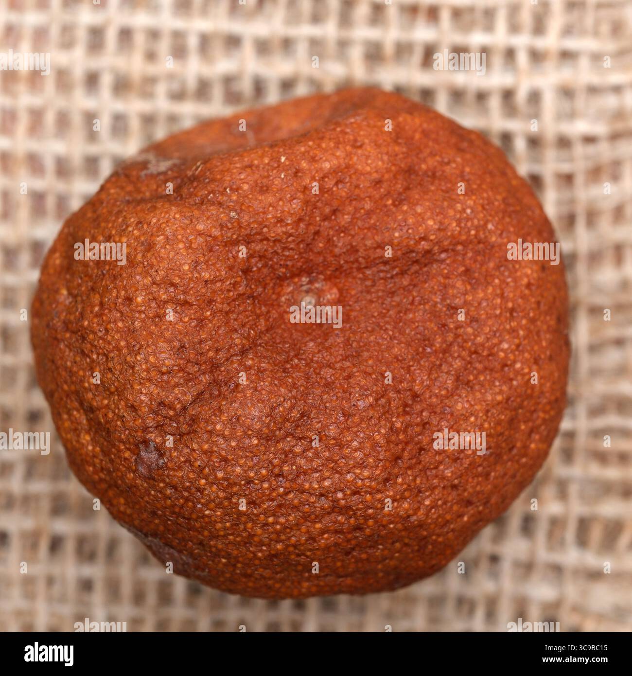 Ein einzigartiger brauner Felsen auf natürlichem Sackleinen unterstreicht seine interessante Textur. Stockfoto