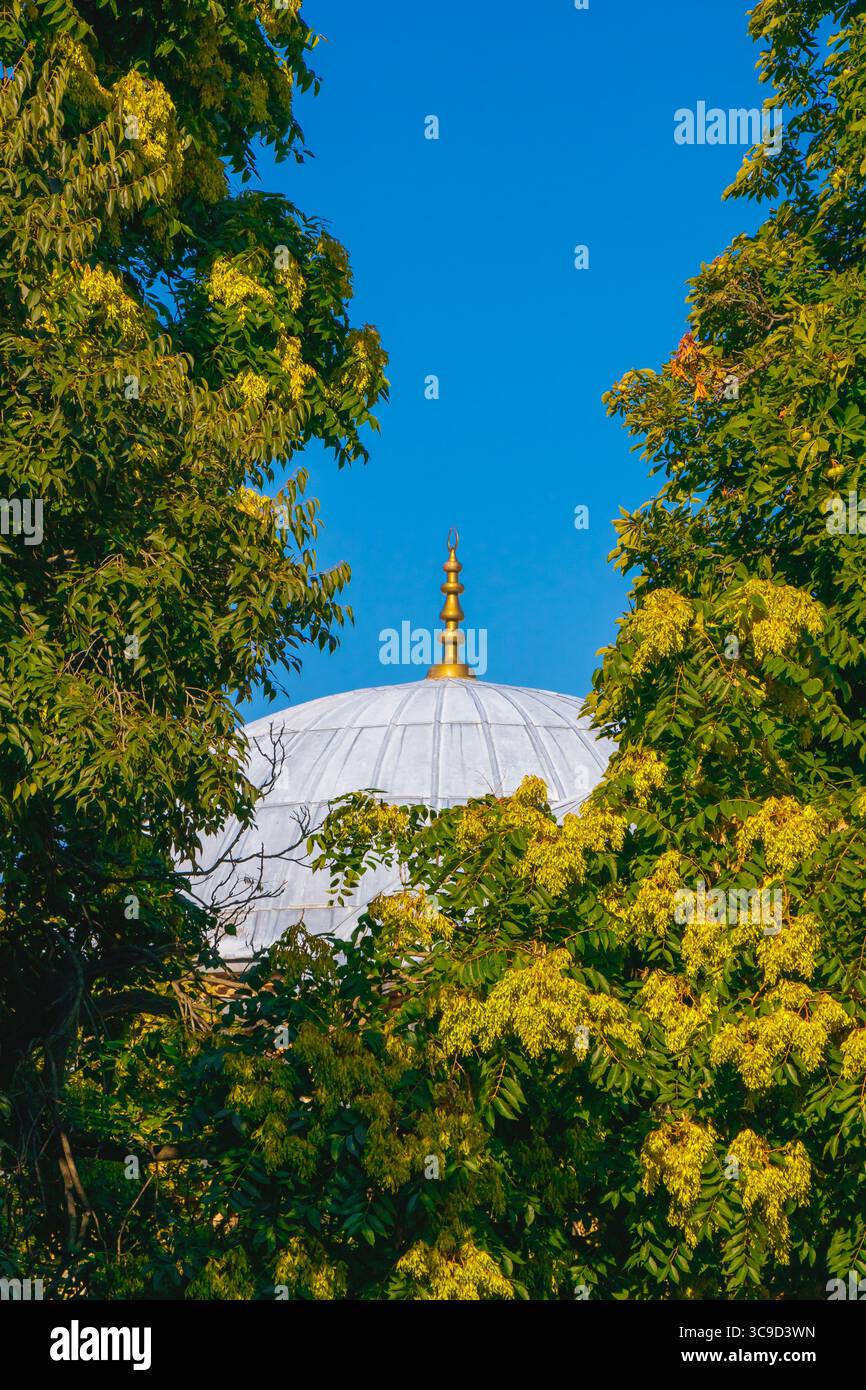 Eine goldene Moschee erhebt sich über einer weißen Kuppel, umgeben von grünen Bäumen mit gelben Blumen, die an einem klaren Sommertag gefangen werden. Stockfoto