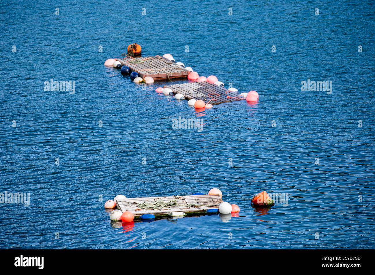 Holzpaletten mit bunten Bojen, die an einem sonnigen Tag in der Mündung von Salcombe schwimmen, schaffen eine friedliche und ruhige Szene Stockfoto