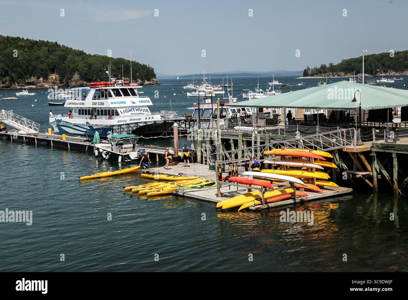 BAR HARBOR, MAINE, USA – 7. JULI 2013: An einem sonnigen Sommertag können Besucher Kajak- und Bootstouren am Ufer von Bar Harbor Unternehmen. Stockfoto
