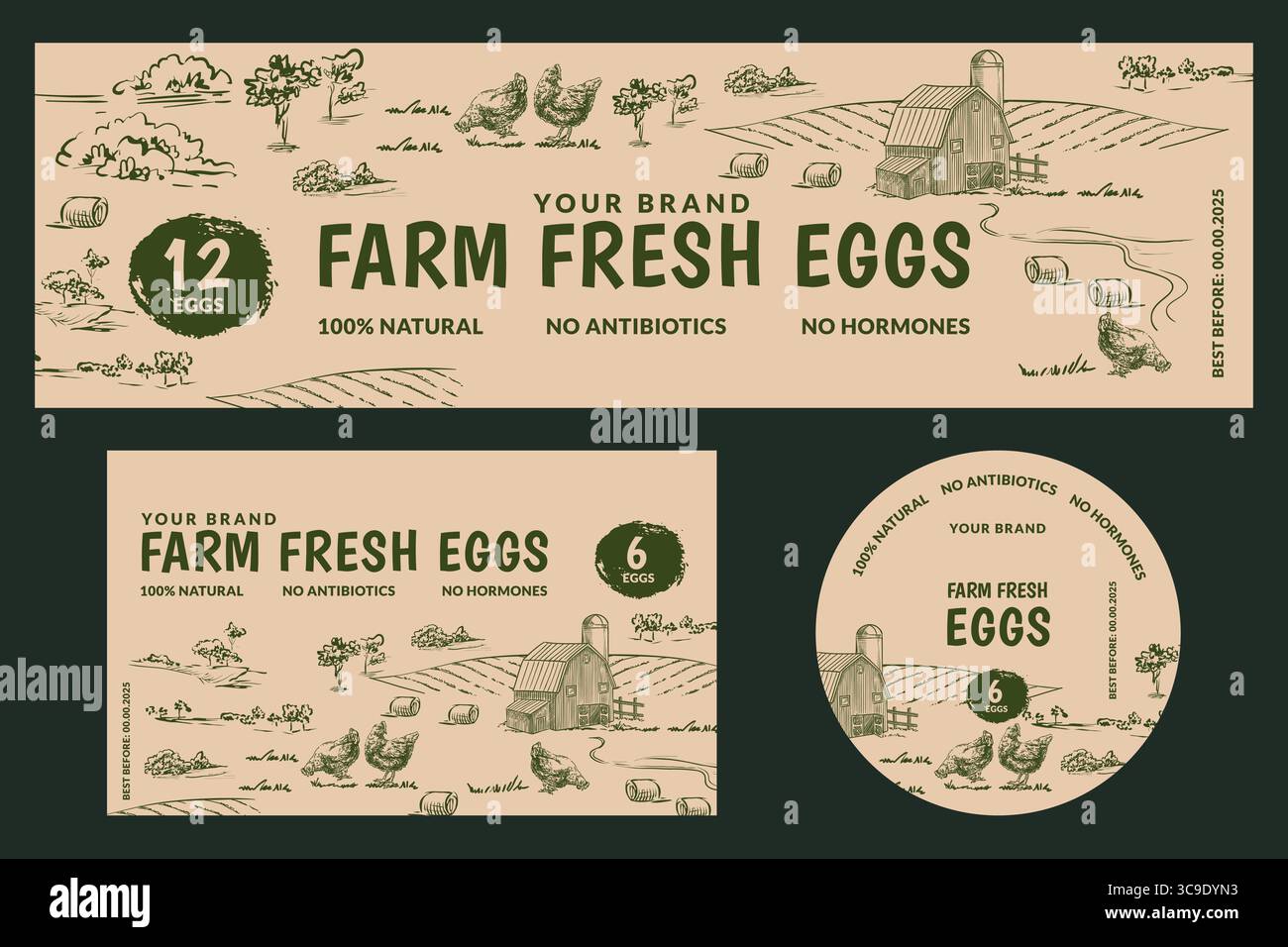 Vektorrunde und rechteckige Etiketten Set von Hühnerfarm frischen Eiern. Zeichnung von Feldern, Scheune und Hühnern. Designelemente für Bio-Lebensmittel Stock Vektor