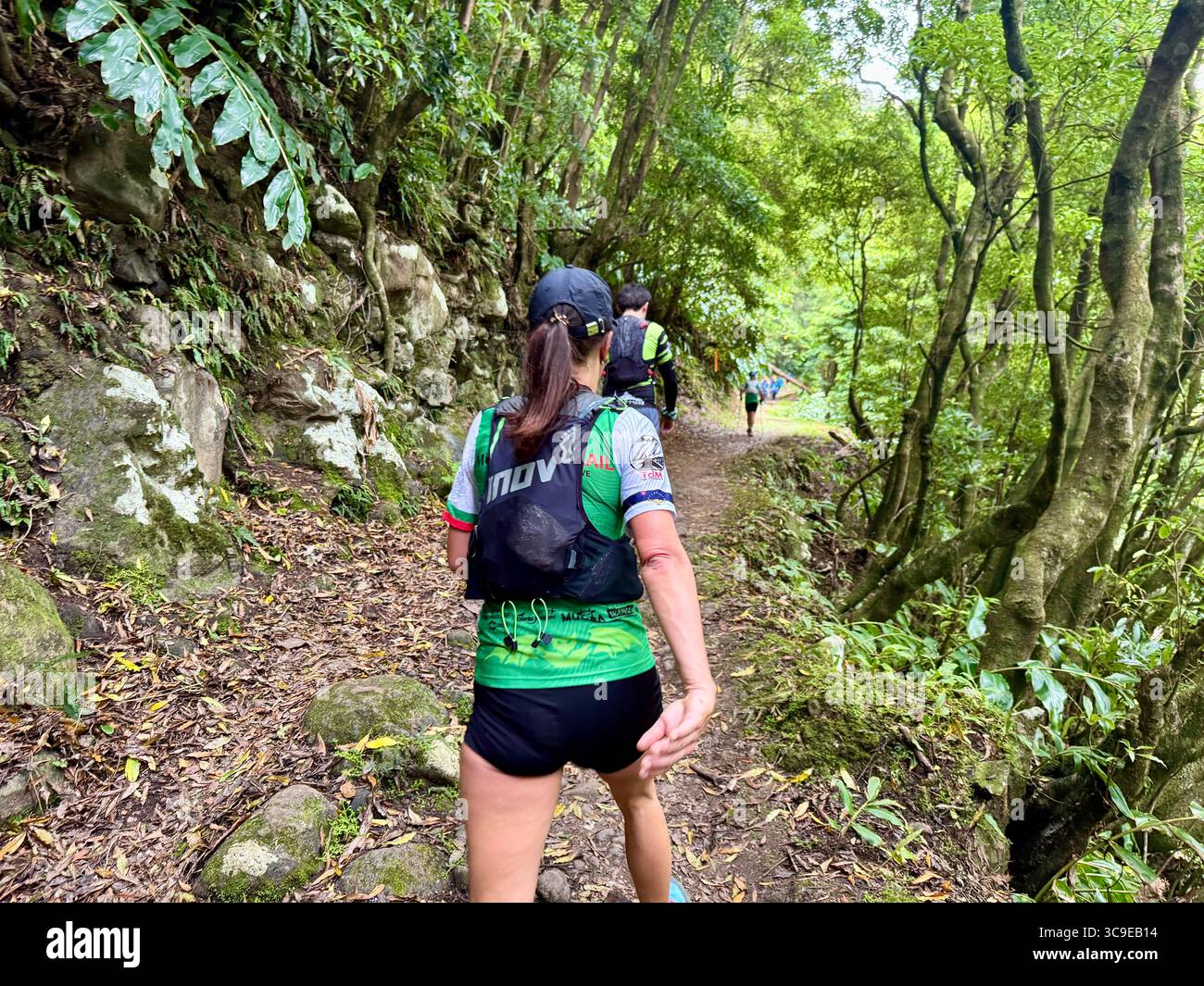 Teilnehmer laufen während des Trail Run Real Priolo Events auf den Azoren, Portugal, durch einen Waldweg. Stockfoto
