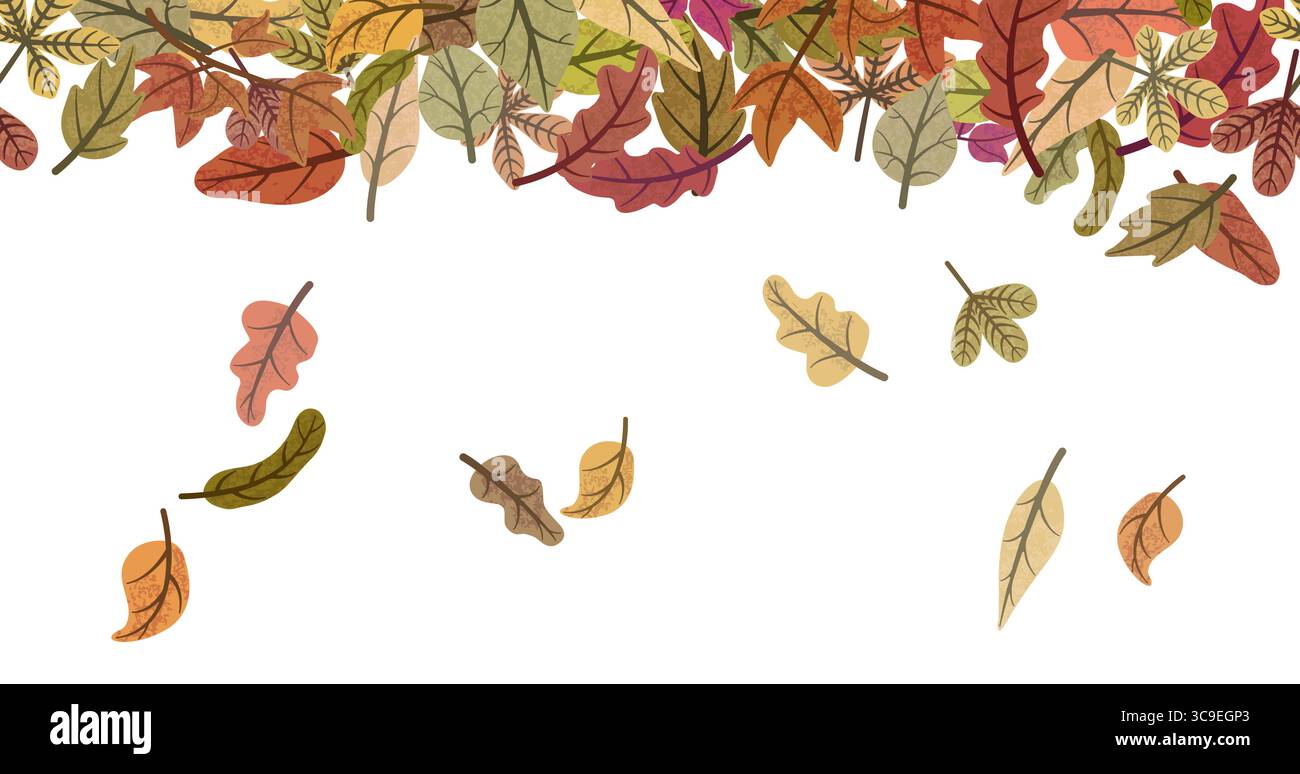 Bunte Herbstblätter in verschiedenen Formen und Farben fallen herunter und schaffen eine nahtlose Borte auf weißem Hintergrund, perfekt für herbstliche Motive Stock Vektor
