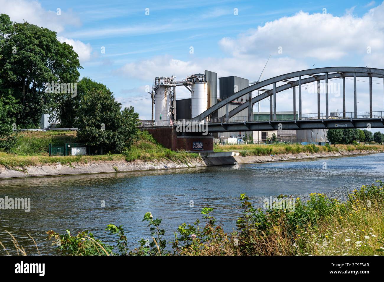Cosucra Tierernährung, Standort Chicorée Hérinnes Pecq, Hennegau, Belgien 12. Juli 2025 Stockfoto