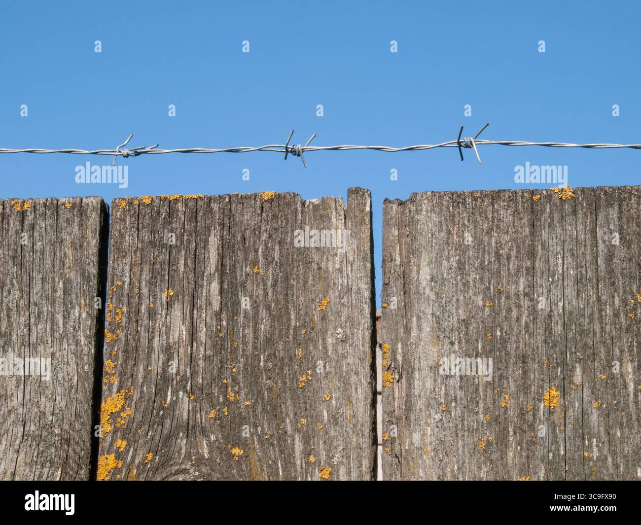 Nahaufnahme des verwitterten Holzzauns mit Stacheldraht oben unter klarem blauem Himmel, der Einschränkung, Sicherheit und Grenzen symbolisiert Stockfoto