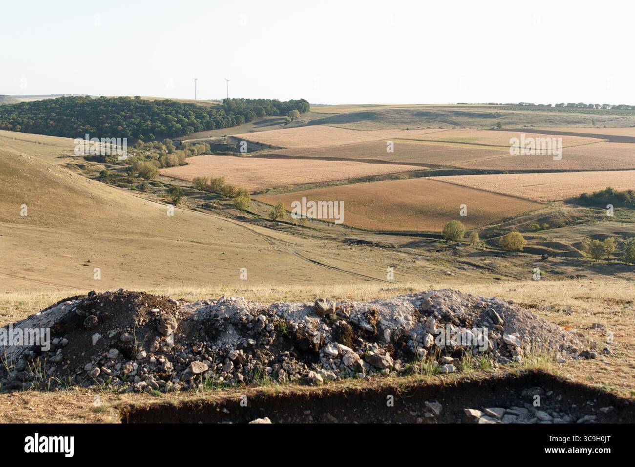 Eine ruhige Landschaft mit sanften Hügeln, verstreuten Felsen und Grasflecken. Bäume säumen die Szene unter klarem Himmel, was auf ein friedliches n hindeutet Stockfoto