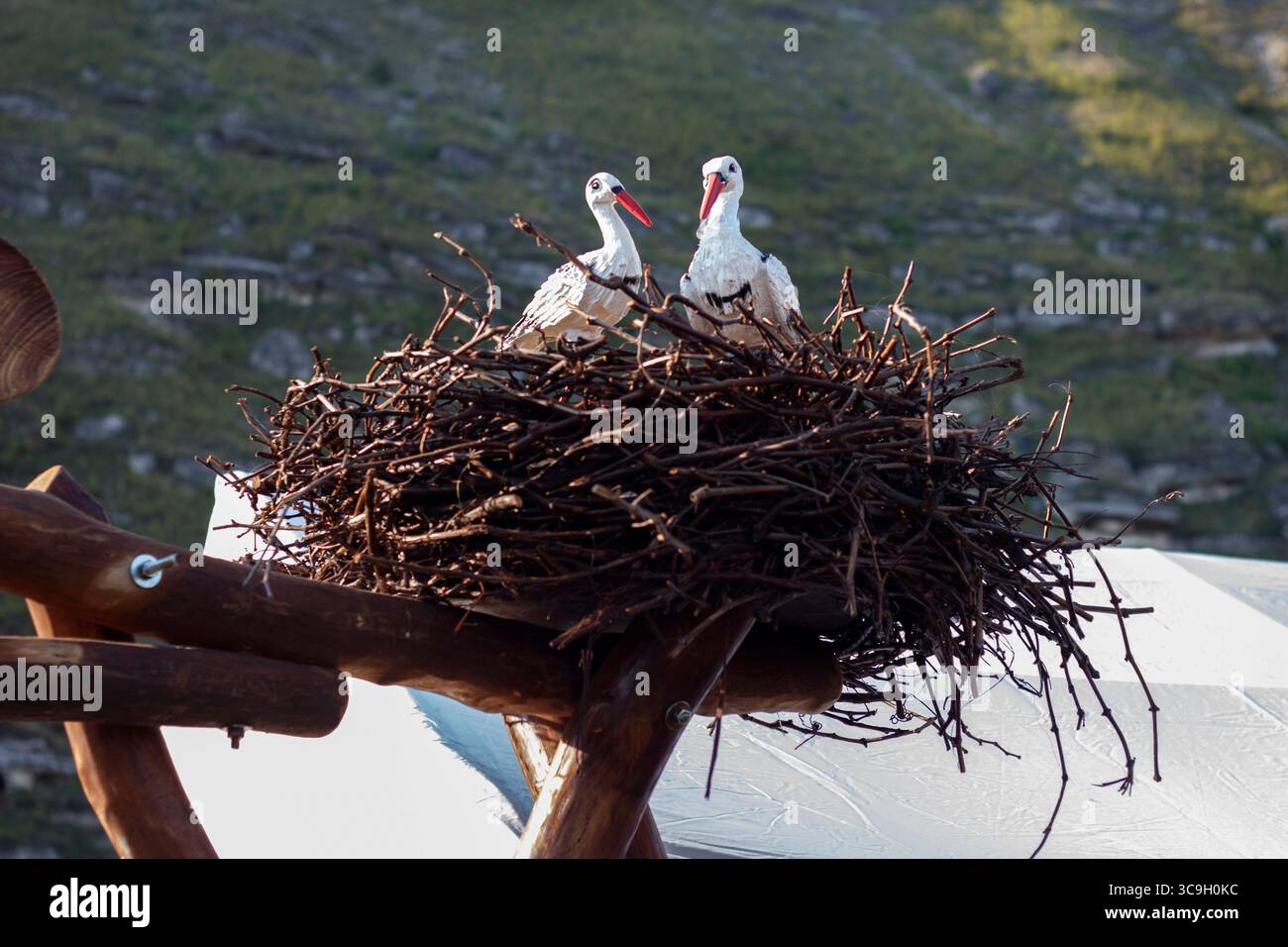 Zwei Störche in Nestern auf einer Holzkonstruktion. Hintergrund: Felsiges Gelände und ein Zelt. Die Szene fängt Natur und Tierwelt, Landschaft ein Stockfoto