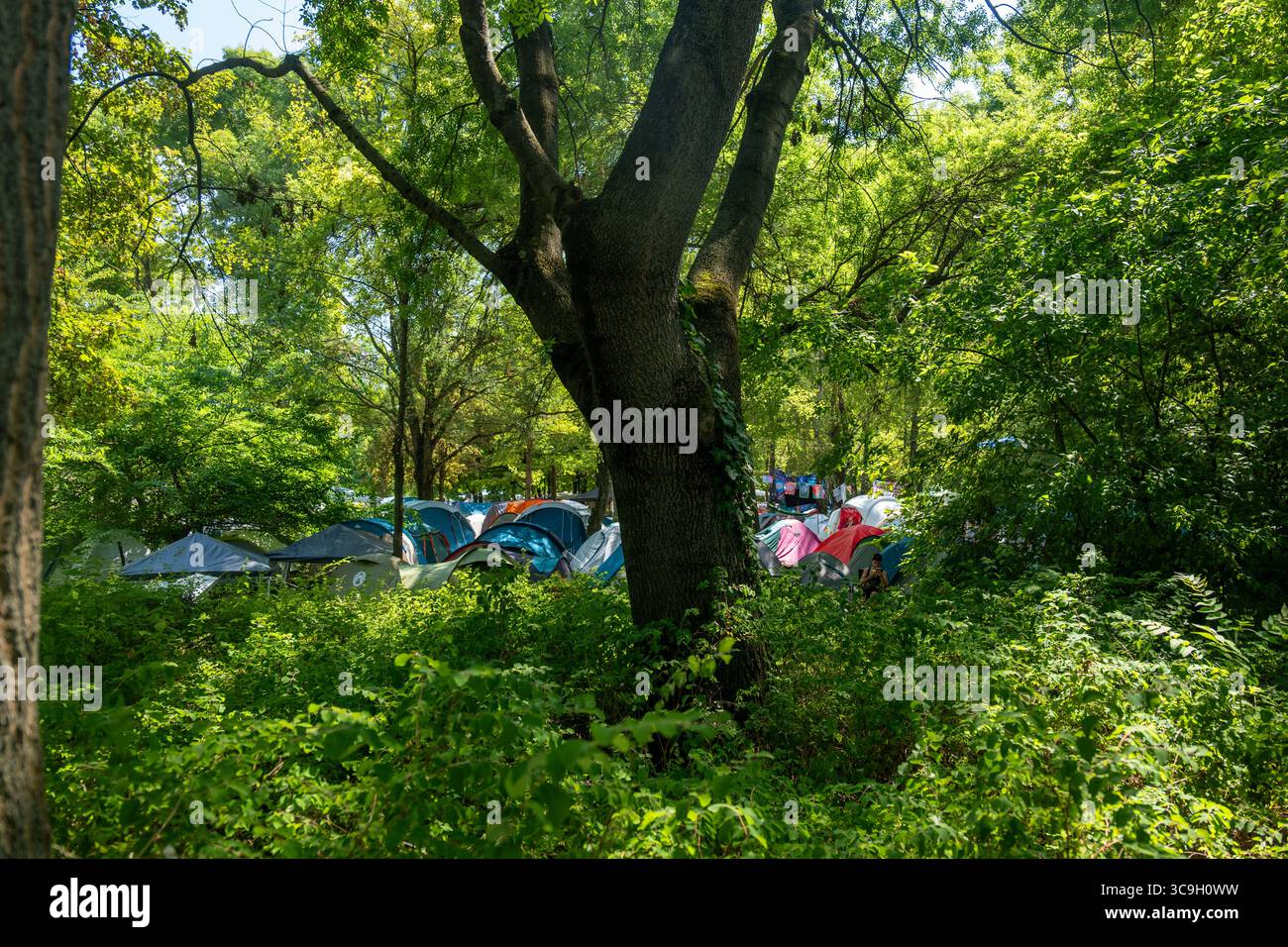 Budapest, Ungarn – 5. August 2025: Die ersten Zelte der ersten Besucher des Sziget Festivals 2024 werden unter der hellen Sommersonne gesehen. Das Festival wird morgen, den 6. August, offiziell eröffnet und heißt Tausende von Besuchern zu einem der größten Musik- und Kulturveranstaltungen Europas willkommen. Colin Darbyshire, Alamy Live News Stockfoto