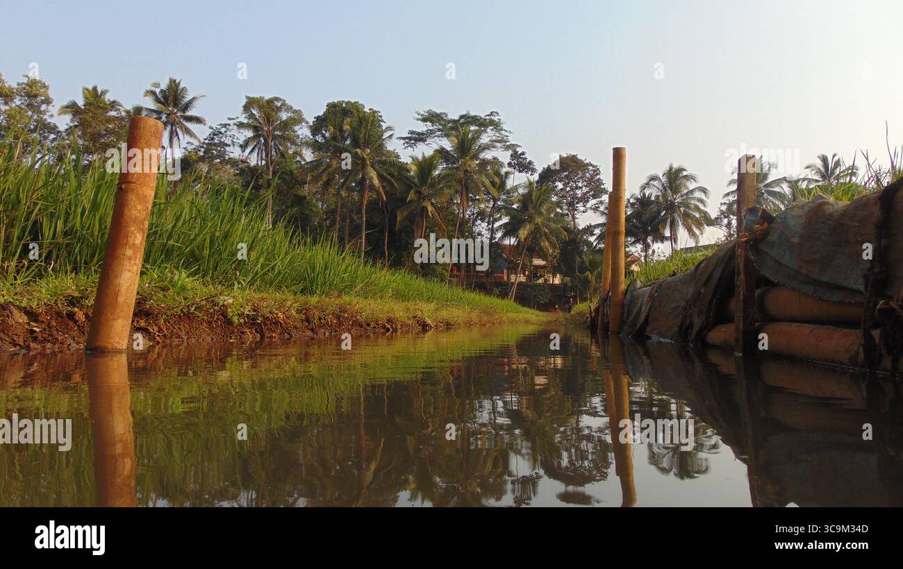 Ein traditioneller ländlicher Bewässerungskanal spiegelt die umliegenden Palmen und Reisfelder wider und unterstreicht die entscheidende Rolle der Wasserbewirtschaftung. Stockfoto
