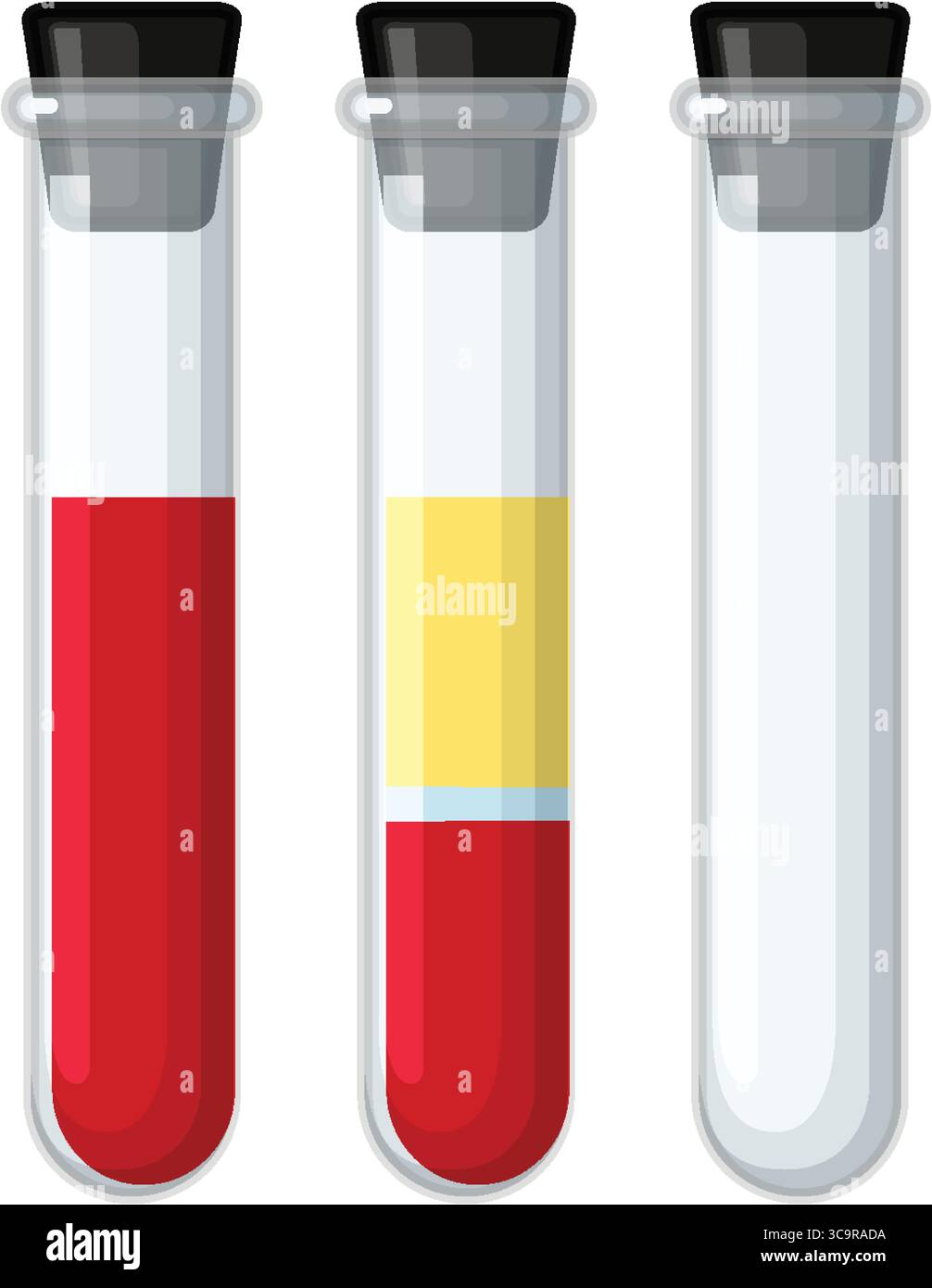 Vektor-Illustration von drei Reagenzgläsern, die Vollblut, getrenntes Plasma und Zellen sowie ein leeres Röhrchen in einer sauberen, flachen Form zeigen Stock Vektor