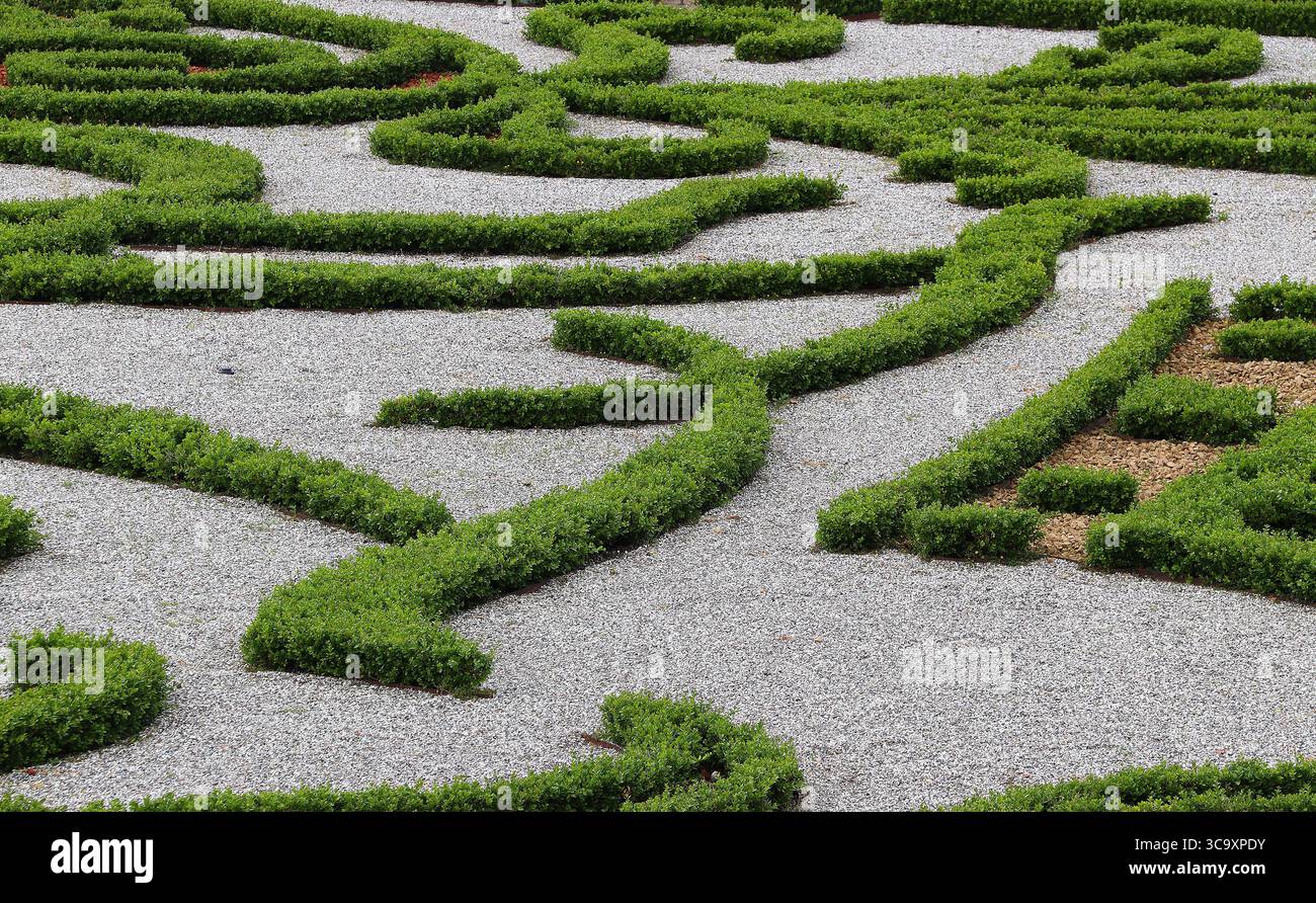 Blumenmuster von Buchsbaumhecken auf hellgrauem Kiesgrund (Neuseeland, Dänemark) Stockfoto