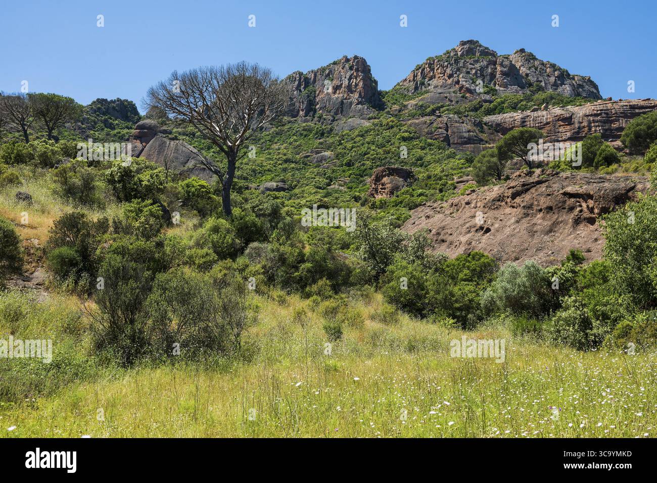 Rocher du roquebrune, Roquebrune-sur-Argens, bei Saint-Raphael, Massif de l'Esterel, Esterelgebirge, Departement Var, Cote d'Azur, Provence-Alpe Stockfoto