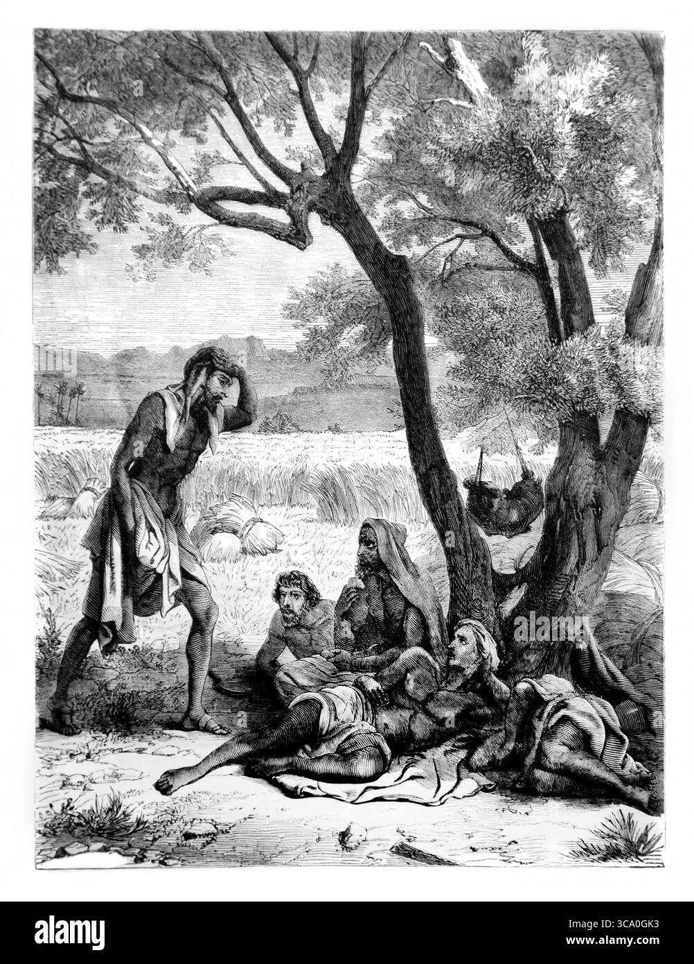 Illustration der östlichen Schnitter, die während der Hitze des Tages während biblischer Zeiten aus dem Antiken des 19. Jahrhunderts ruhten, die Heilige Bibel enthält die Alte Stockfoto