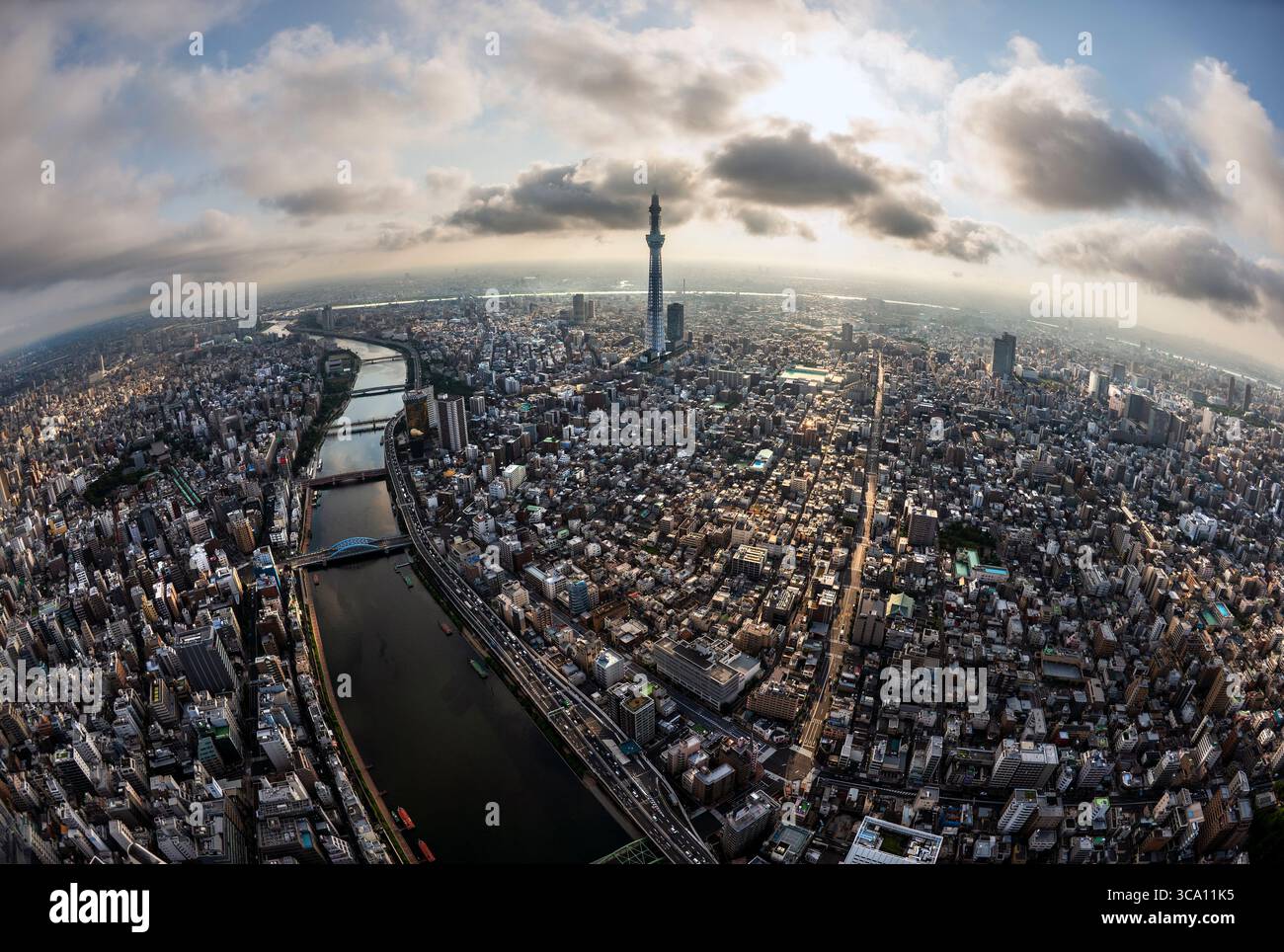 Weitwinkelblick auf die Stadtlandschaft Tokios mit dem Skytree Tower im Zentrum Japans Stockfoto