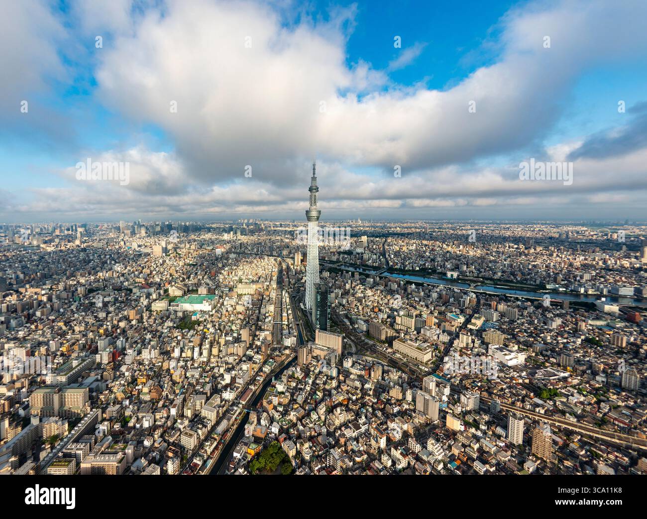 Weitwinkelblick auf die Stadtlandschaft Tokios mit dem Skytree Tower im Zentrum Japans Stockfoto