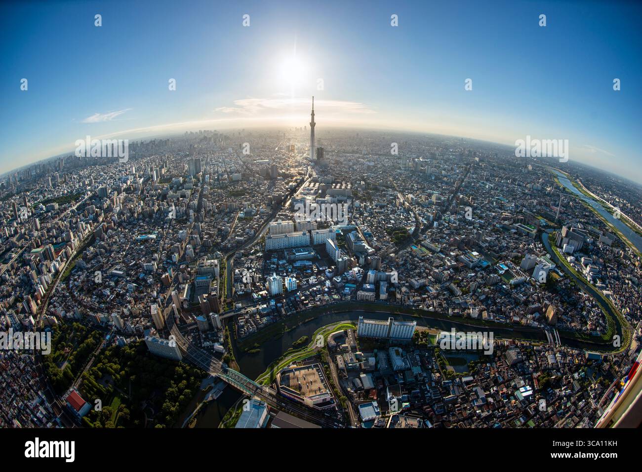 Weitwinkelblick auf die Stadtlandschaft Tokios mit dem Skytree Tower im Zentrum Japans Stockfoto