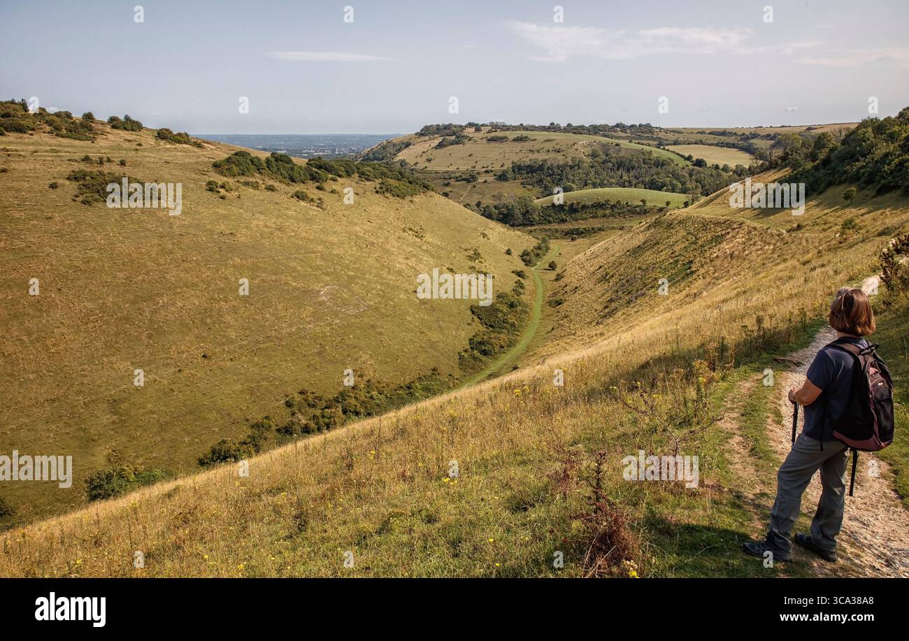 Auf dem Devil's Dyke, West Sussex Stockfoto