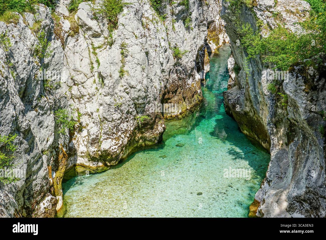 Große Soča-Schlucht, Nationalpark Triglav, Slowenien Stockfoto