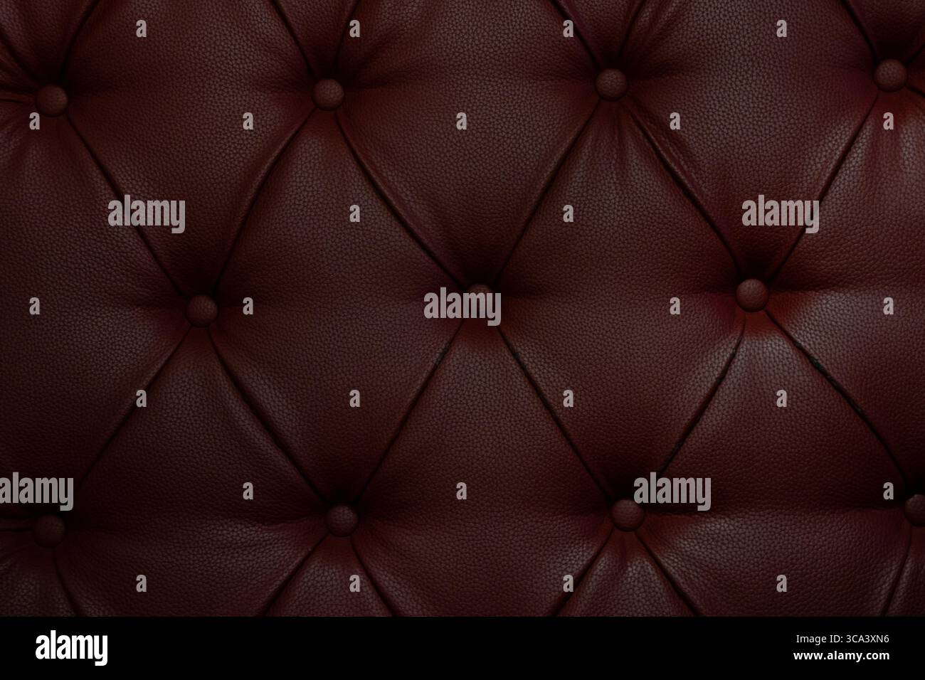 Dunkelrote Ledersofas mit dekorativen Knöpfen, strukturierte Oberfläche als Hintergrund- und Innenausstattung Stockfoto