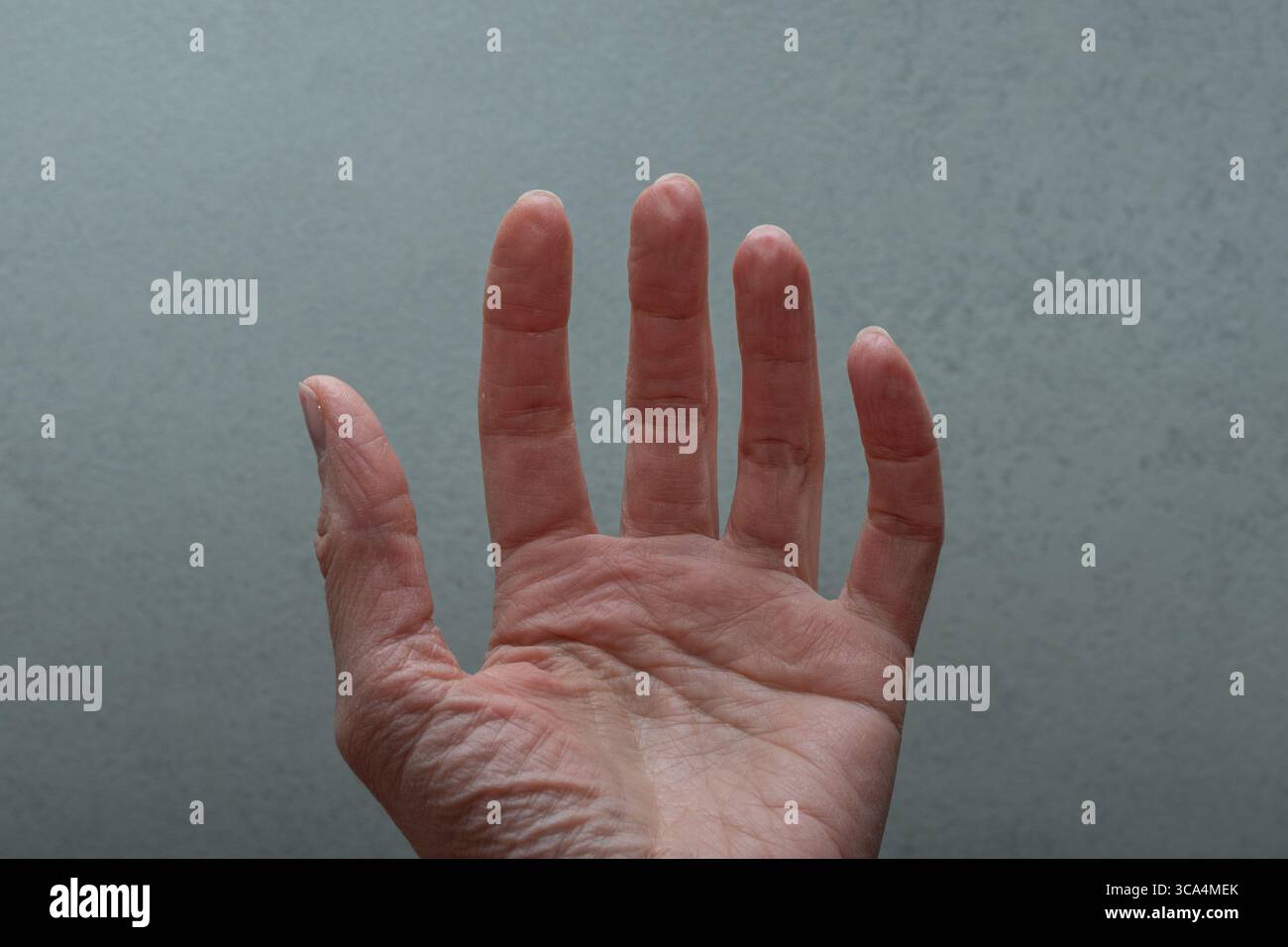 Ausgestreckte menschliche Hand mit sichtbarer Hautstruktur und Falten, positioniert auf einem neutralen grauen Hintergrund. Das Konzept der Anatomie, Geste und des Menschen Stockfoto