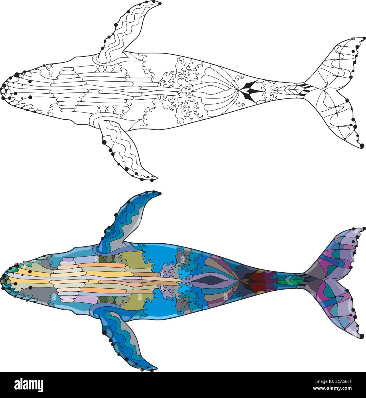 Schwimmender Wal für Anti-Stress-Malseite. Ansicht von unten. Stock Vektor