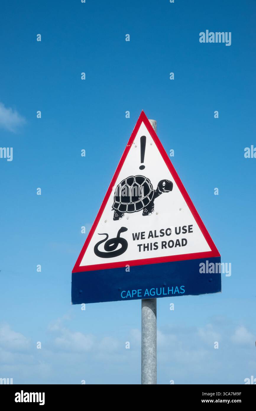 Verkehrswarnschild, um sich vor wilden Schildkröten und Schlangen auf der Straße in Südafrika zu hüten Stockfoto