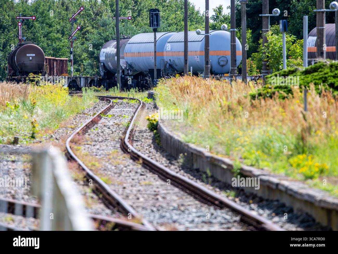 Karow, Deutschland. August 2025. Güterwagen parkten am Bahnhof. Der ehemalige Eisenbahnknotenpunkt wird heute nur noch von einer Nebenbahn der Ostdeutschen Eisenbahn-Gesellschaft (ODEG) bedient. Quelle: Jens Büttner/dpa/Alamy Live News Stockfoto