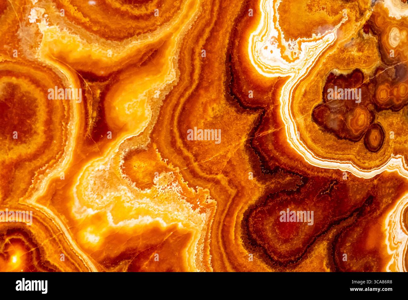 Es wird eine bunte Stalagmitscheibe angezeigt. Ein Stalagmite ist ein aufwärts wachsender Hügel von Minerallagerstätten. Stockfoto