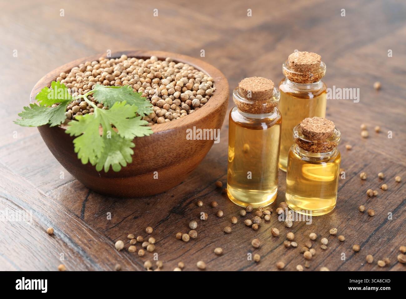 Aromatisches Öl in Flaschen, Korianderblätter und Koriandersamen auf Holztisch, Nahaufnahme Stockfoto
