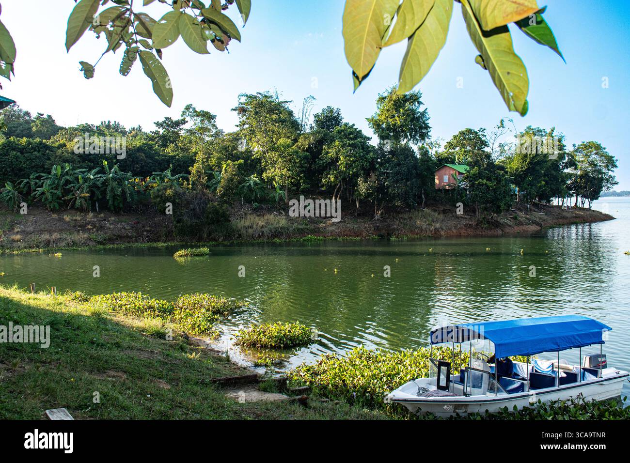 Ruhige Szene mit Booten, die im Rangamati Kaptai See ankern Stockfoto