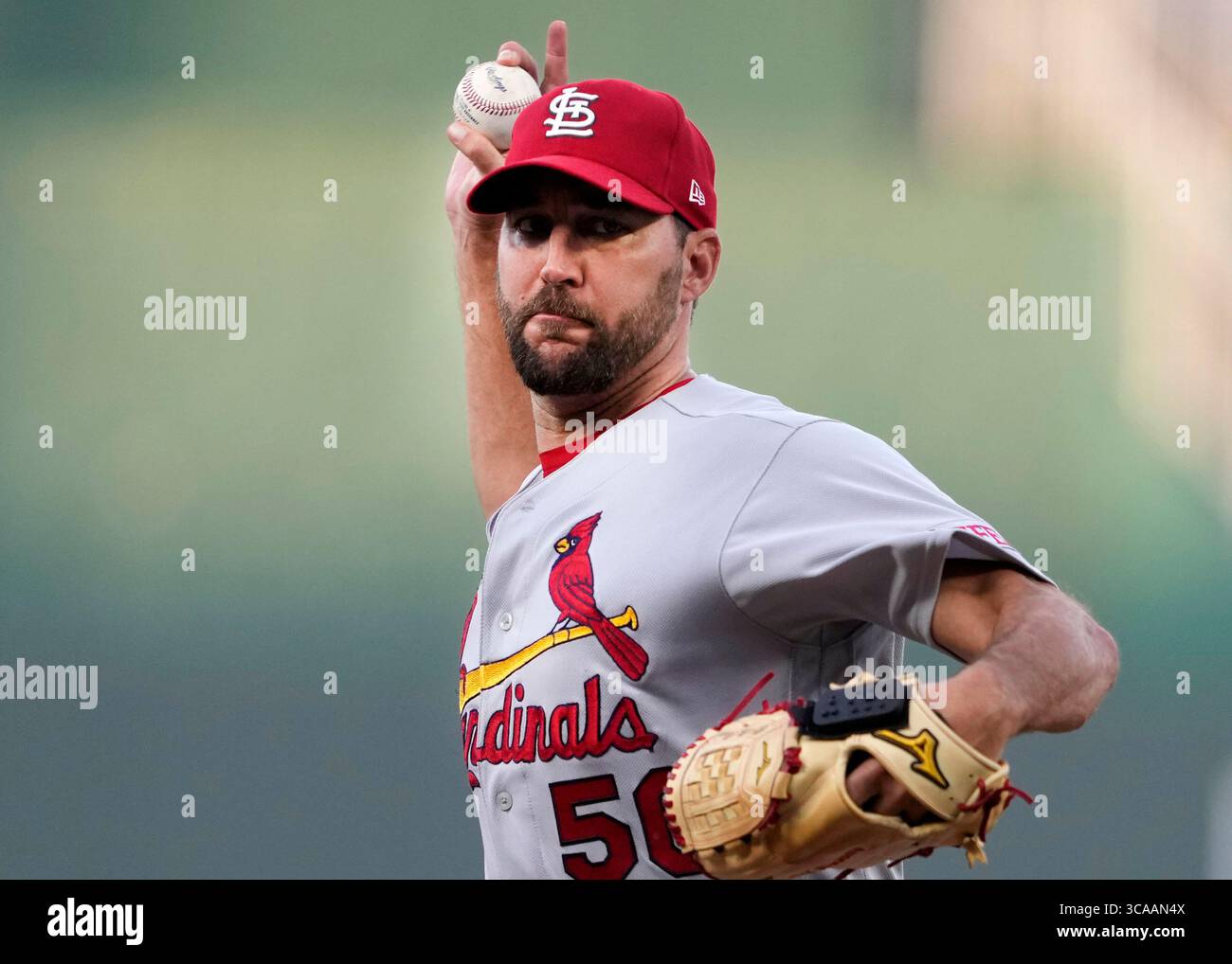 11. AUGUST 2023: Adam Wainwright (50), der Startkrug der St. Louis Cardinals, liefert ein Spielfeld im Kauffman Stadium Kansas City, Missouri. Jon Robichaud/CSM. (Foto: © Jon Robichaud/CSM via ZUMA Press Wire) Stockfoto