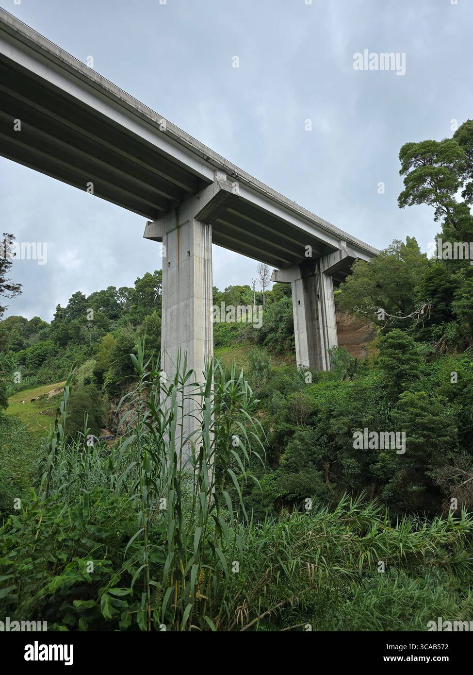 Moderne Viadukte in natürlichen Tälern auf der Insel São Miguel auf den Azoren, Portugal. - Smartphone-aufgenommenes Stockfoto