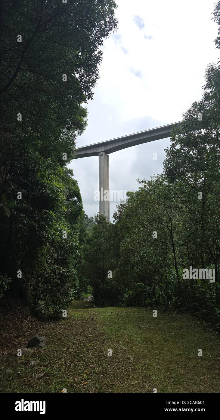Moderne Viadukte in natürlichen Tälern auf der Insel São Miguel auf den Azoren, Portugal. - Smartphone-aufgenommenes Stockfoto