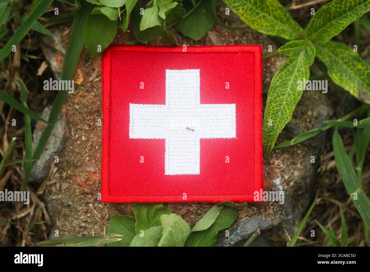 Gestickter Schweizer Flaggenaufnäher aus Stoff, der auf einem Naturwaldpfad auf einem Stein platziert wird und Ökotourismus und grünes Abenteuer symbolisiert. Stockfoto