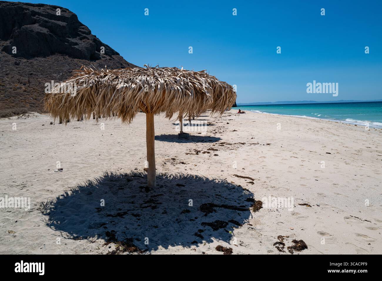 Nahaufnahme eines Sonnenschirms am Strand von Tecolote Beach in La Paz, BCS Mexiko. Stockfoto