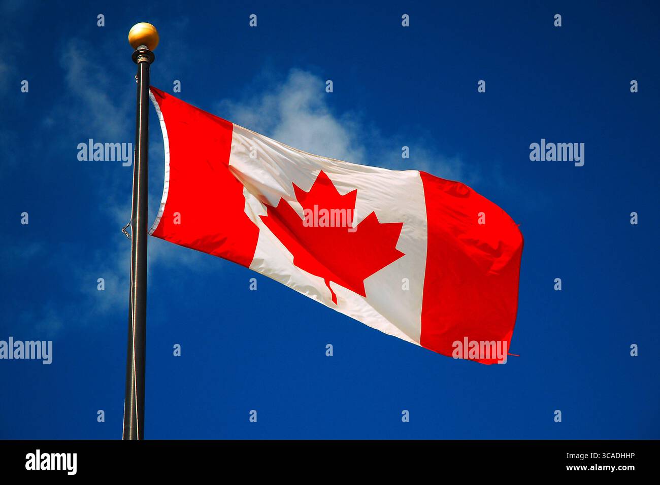 Die kanadische Flagge weht an einem sonnigen Tag im Wind Stockfoto