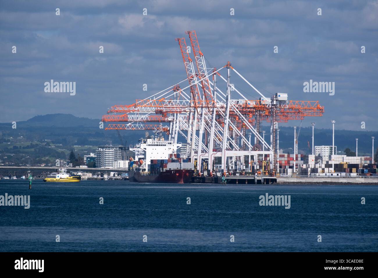 Kai-Schiff zu Landkränen, die Containerfracht im Hafen von Tauranaga, Neuseeland, entladen Stockfoto