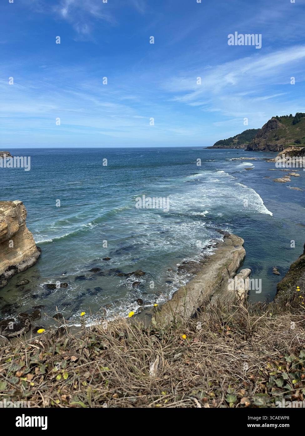 Blick auf den Pazifik vom Aussichtspunkt Devil's Punchbowl in Depoe Bay, Oregon. Stockfoto