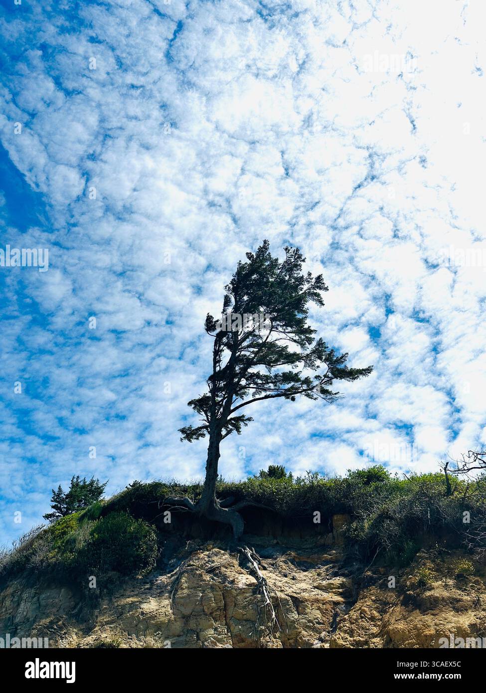 Otter Crest Beach in Depoe Bay, Oregon. - Smartphone-aufgenommenes Stockfoto