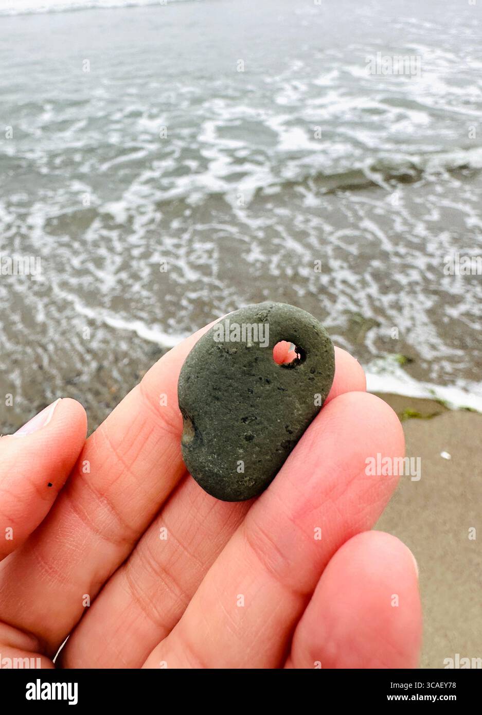 Nahaufnahme einer Hand, die einen Stein hält, an einem Strand in Lincoln City, Oregon. - Smartphone-aufgenommenes Stockfoto